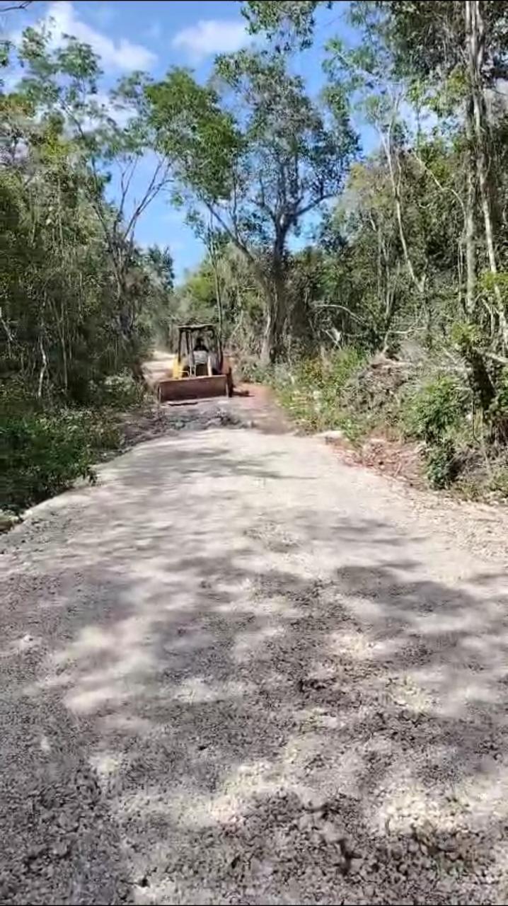 Avance del desarrollo ecológico en Puerto Morelos